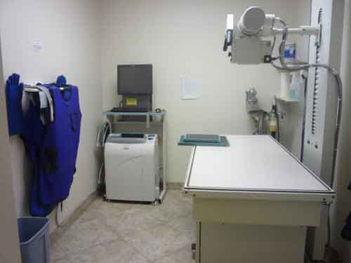 Our Digital Radiograph Area