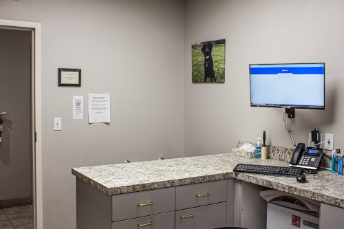 Exam Room