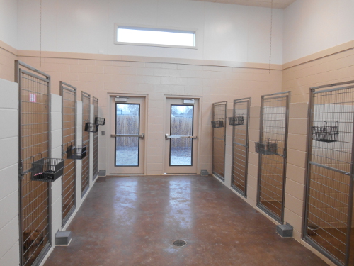 Our Indoor Kennel Runs