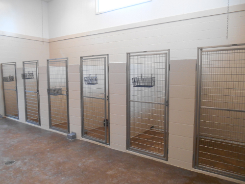Our Skyview Kennel Runs