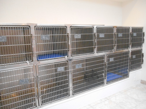 Our Small Animal Boarding Area