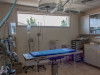 Vista Veterinary Hospital