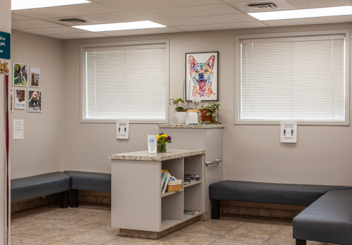 Our Waiting Area